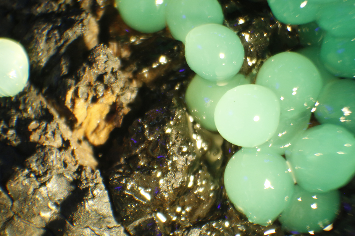GPF Green 2