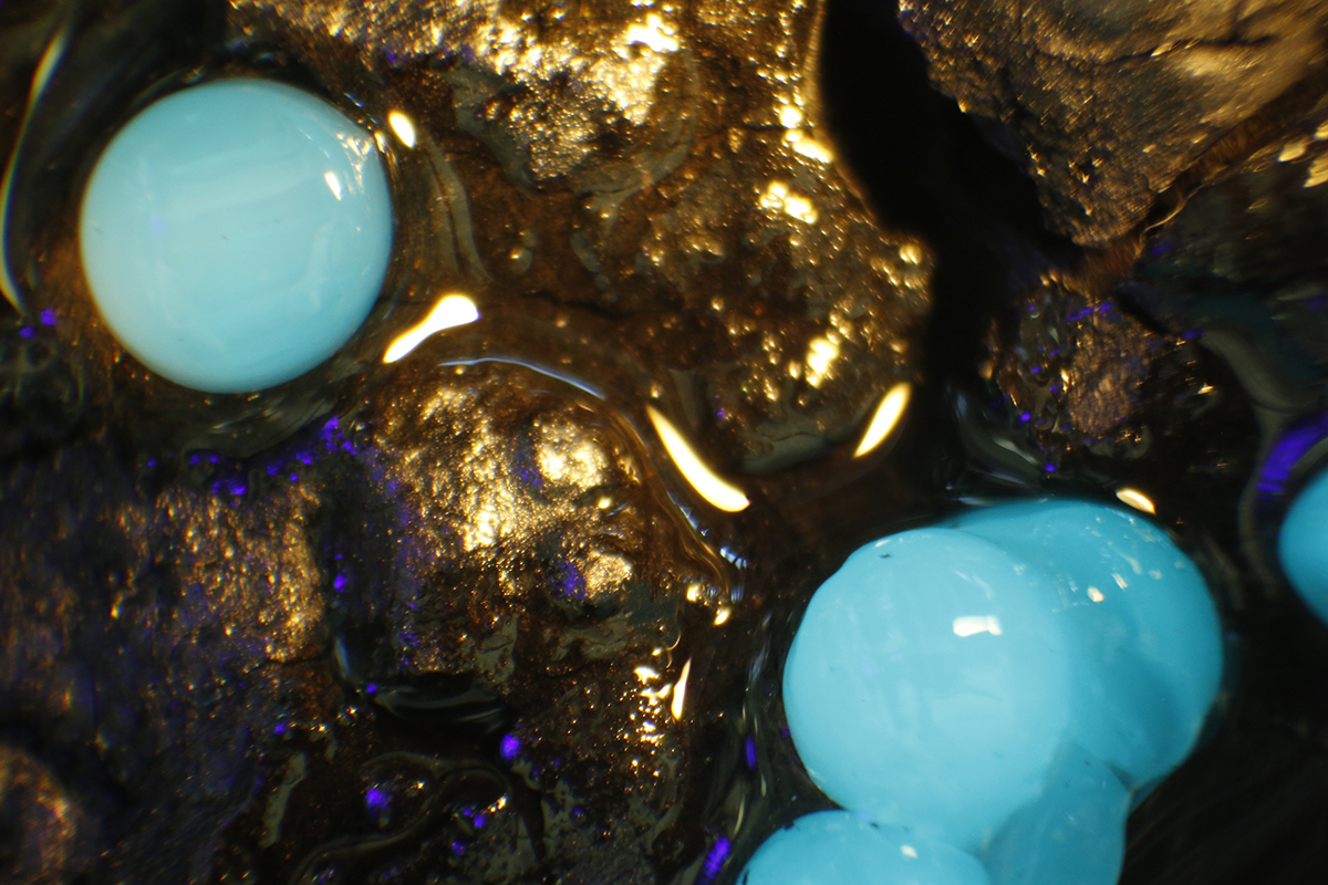 GPF_Blue