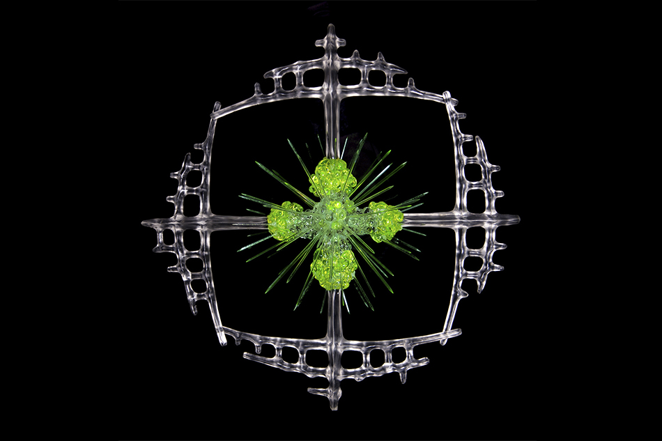 Lithopetra plankton