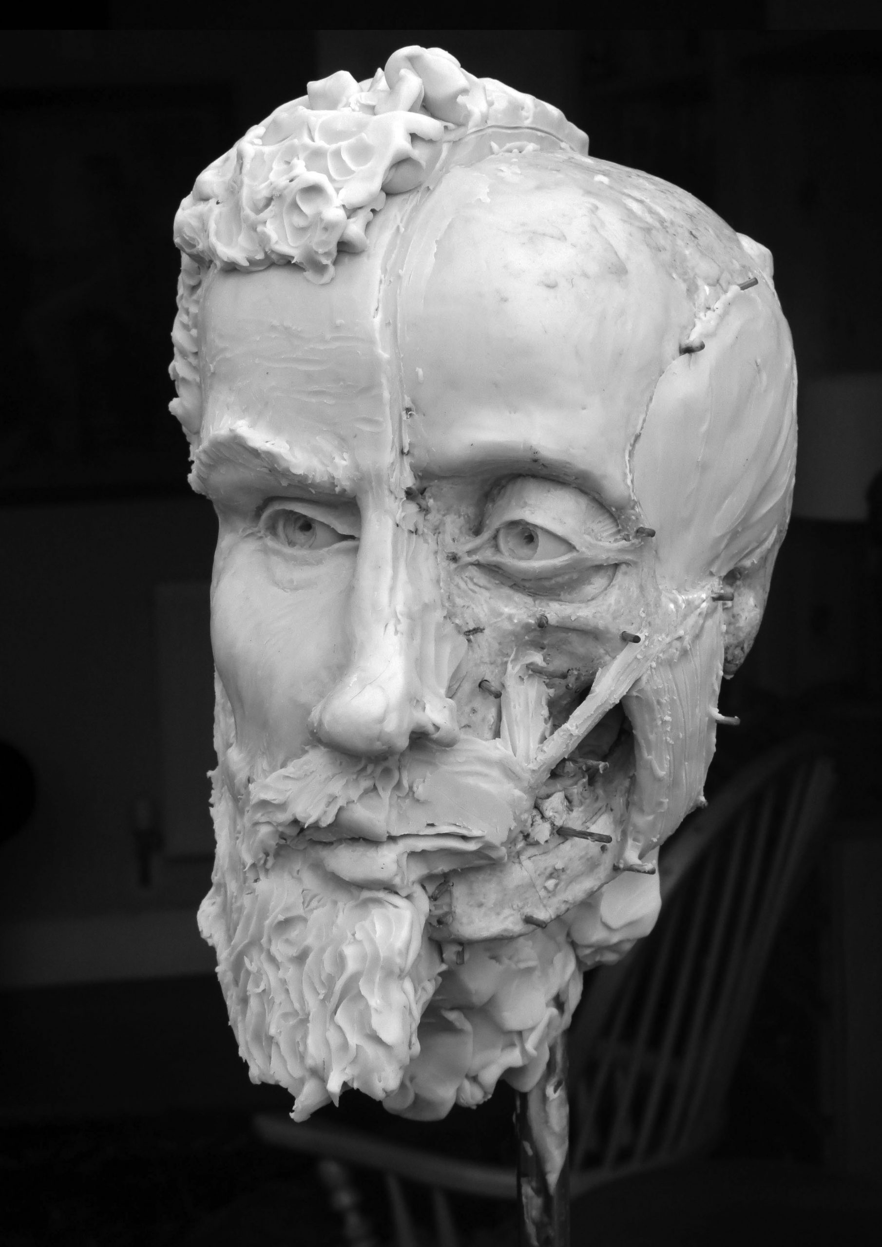 vesalius-wax