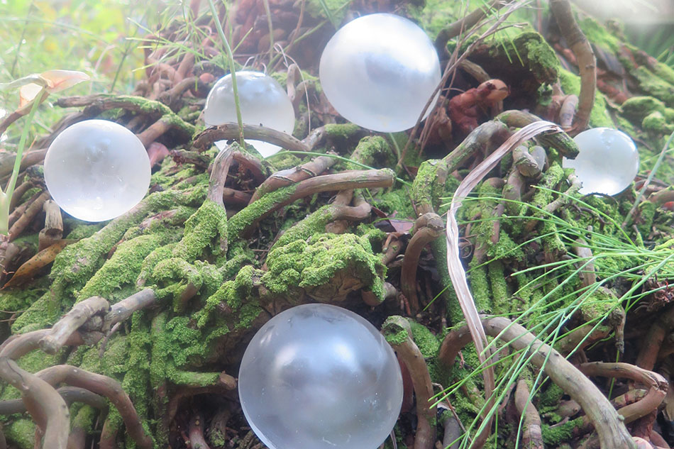 Handblown glass orbs in the forest, pond, and on the shore