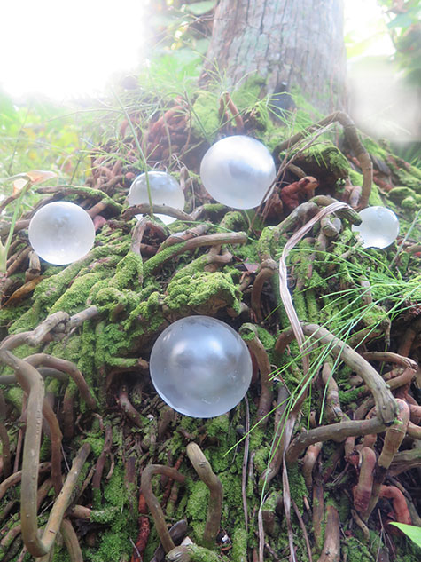 Handblown glass orbs in the forest, pond, and on the shore