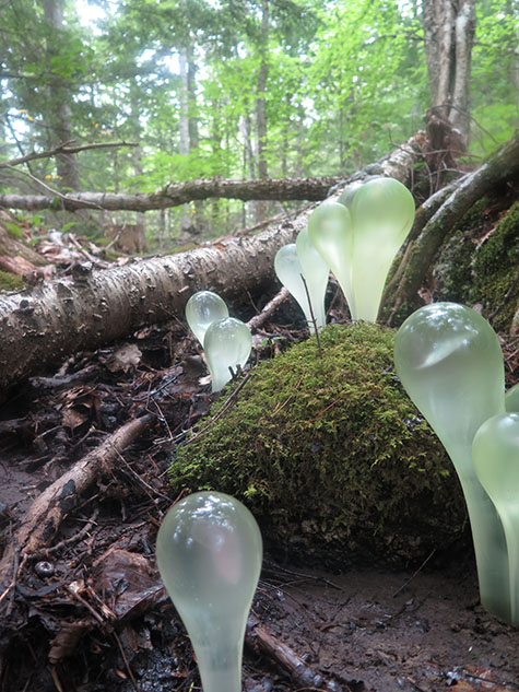 Handblown glass orbs in the forest, pond, and on the shore