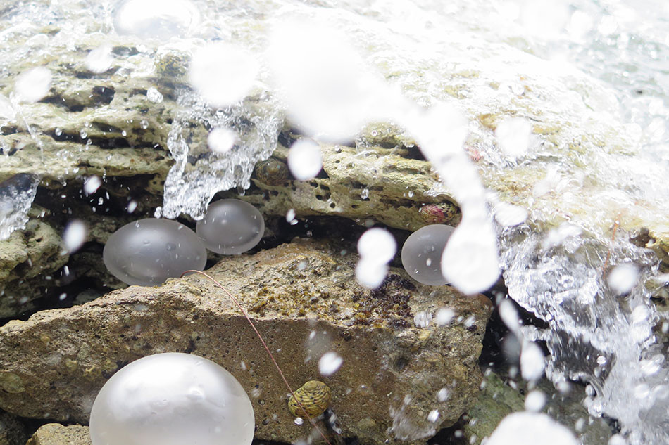 Handblown glass orbs in the forest, pond, and on the shore