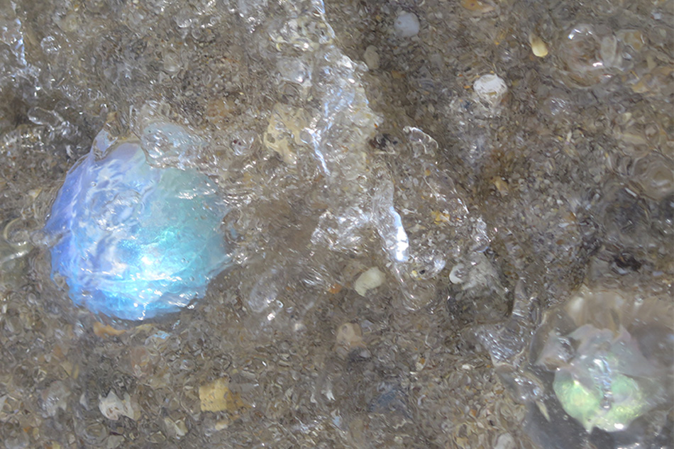 Handblown glass orbs in the forest, pond, and on the shore