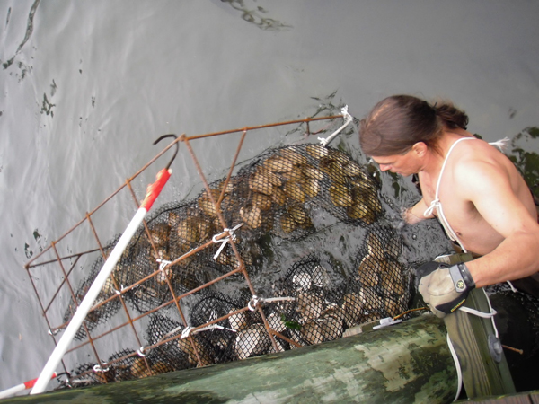 New York New Jersey BayKeepers project installation