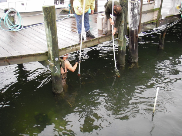 New York New Jersey BayKeepers project installation 2