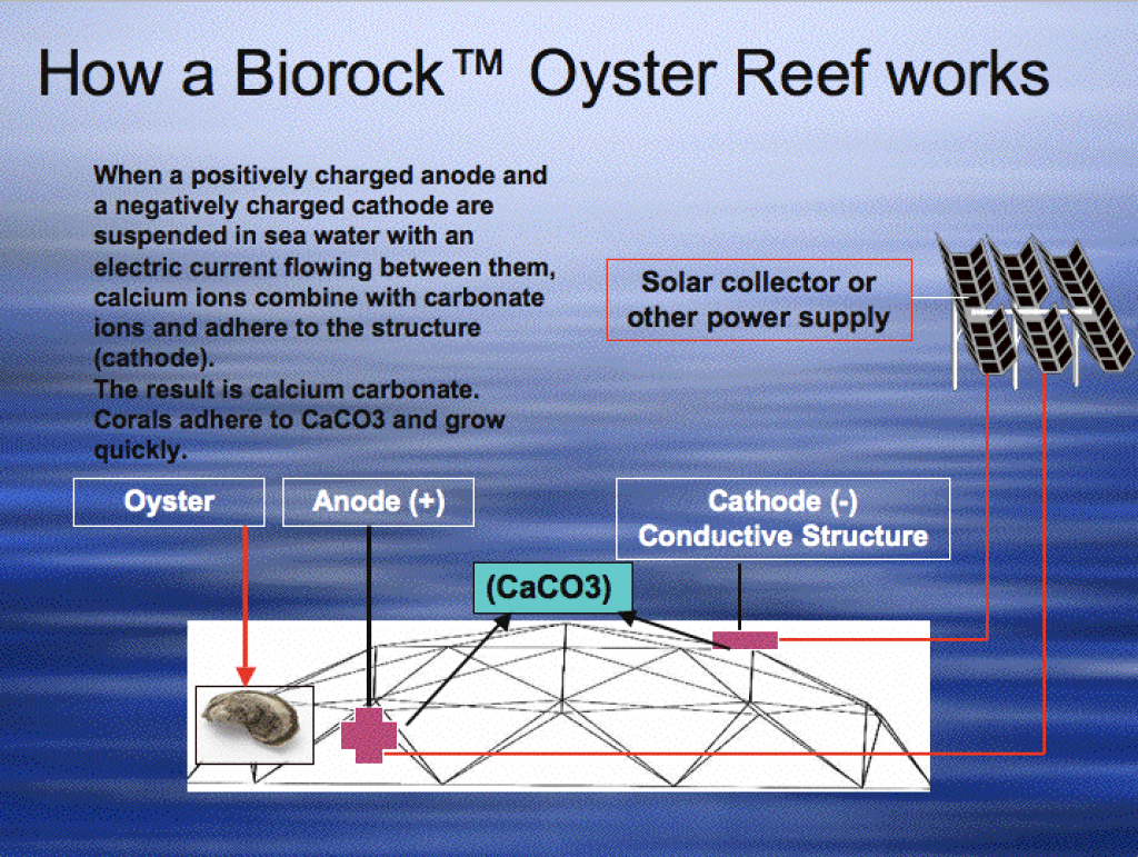 diagram of biorock reef