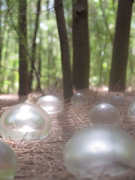 Handblown glass orbs in the forest, pond, and on the shore